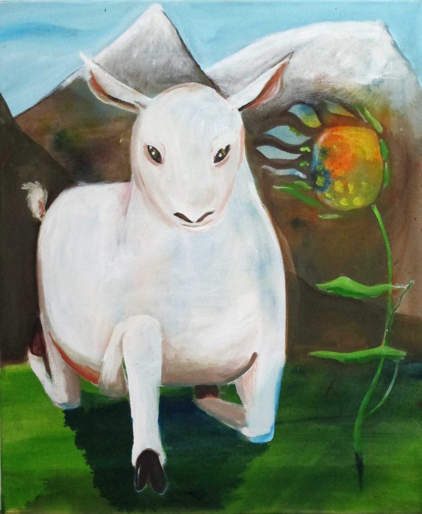 Lamb Bild